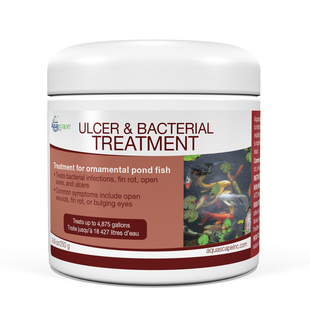 Ulcer & Bacterial Treatment 8.8oz